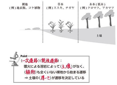 一次遷移